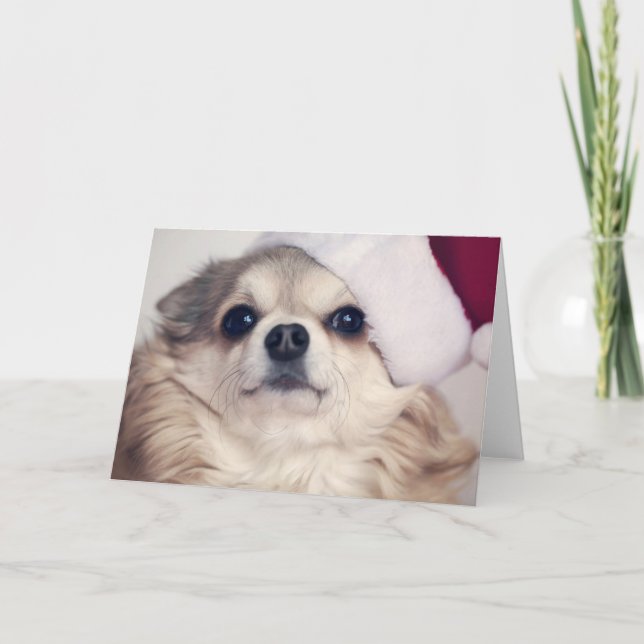 Christmas Doggy Cheer Holiday Card (Front)