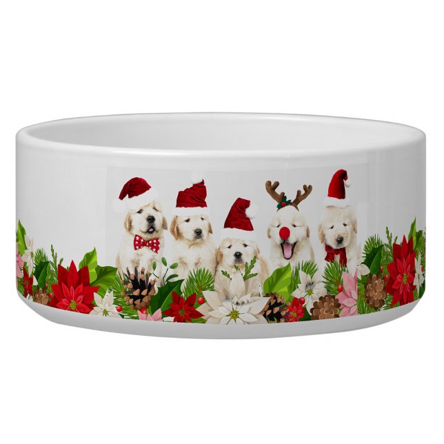 Christmas Dogs  (Christmas Red Hats Doggie Bowl!)