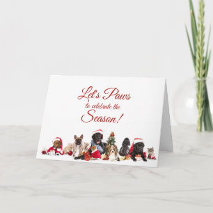 Christmas Dogs and Cats Holiday Card