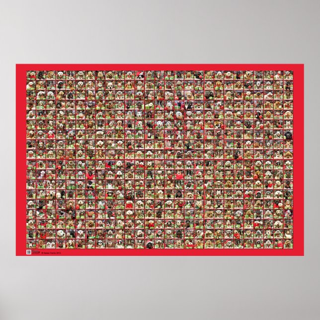 Christmas Dogs Portrait Collection Poster (Front)