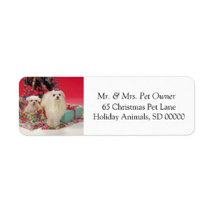 Christmas Dogs SelfAdhesive Return Address Sticker