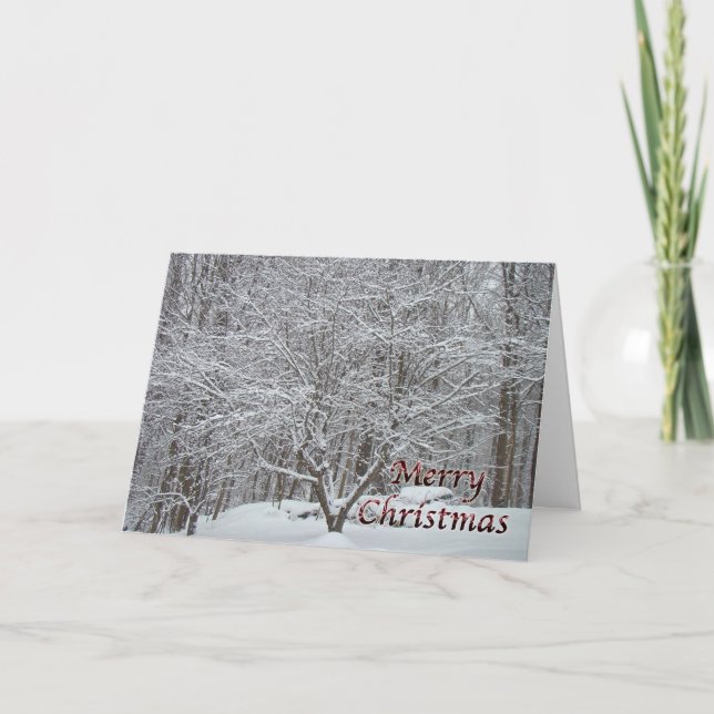 Christmas Dogwood Tree in Snow Holiday Card (Front)