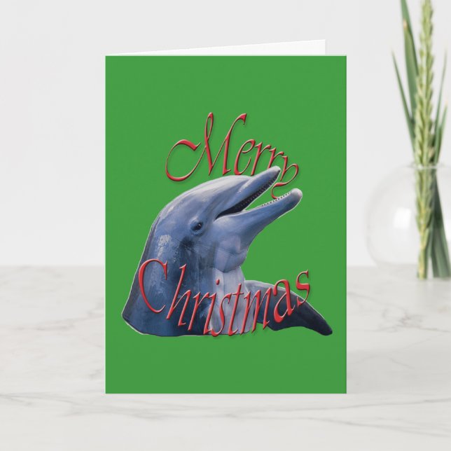 Christmas Dolphin Greeting Card (Front)