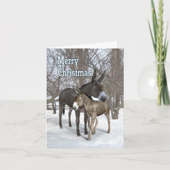 Christmas donkeys in the snow card (Front)