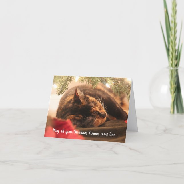 Christmas Dreams Sleeping Calico Cat, Personalised Holiday Card (Front)