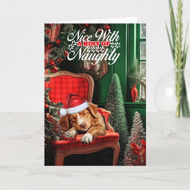 Christmas Duck Tolling Retriever Naughty or Nice Holiday Card (Front)