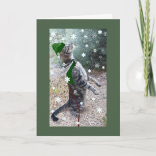 Christmas Elf Tabby Cat Holiday Card