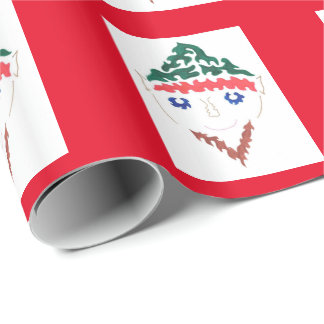 Christmas Elf Wrapping Paper