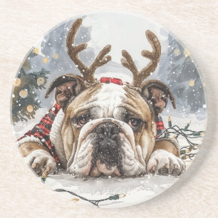 Christmas English Bulldog Reindeer Coaster