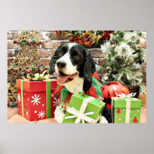Christmas - English Springer Spaniel - Betsy Poster