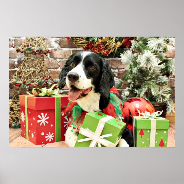 Christmas - English Springer Spaniel - Betsy Poster (Front)