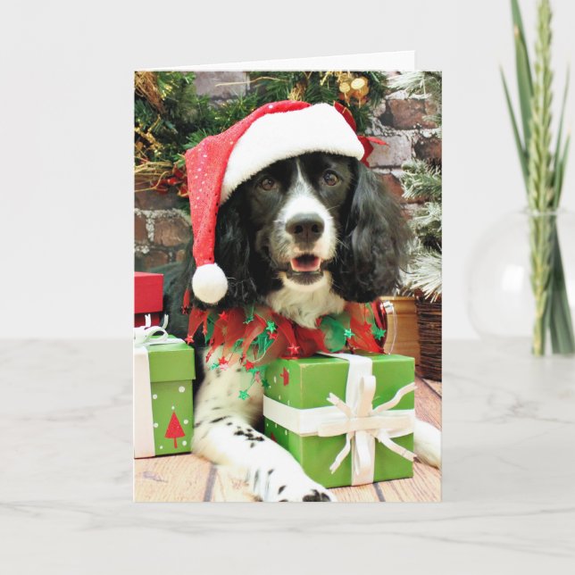 Christmas - English Springer Spaniel - Lucy Holiday Card (Front)
