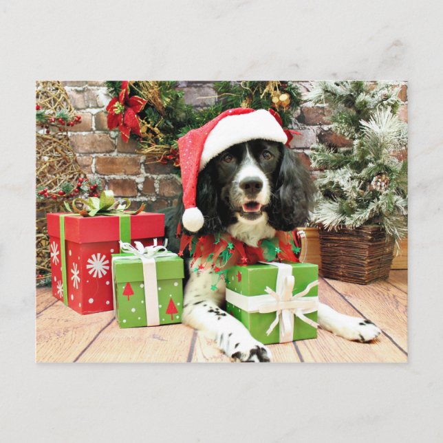 Christmas - English Springer Spaniel - Lucy Holiday Postcard (Front)