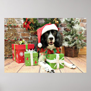 Christmas - English Springer Spaniel - Lucy Poster