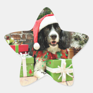 Christmas - English Springer Spaniel - Lucy Star Sticker