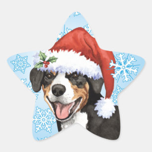 Christmas Entlebucher Star Sticker