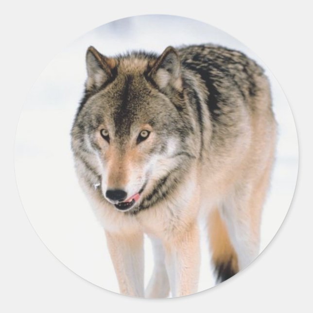 Christmas Envelope Seals (Front)