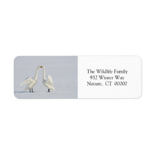 Christmas Envelope Self Adhesive Stickers