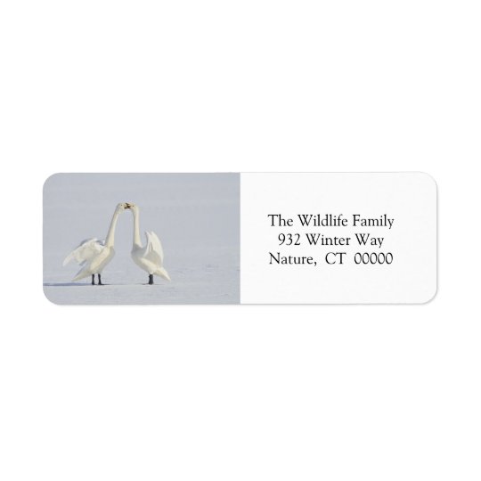Christmas Envelope Self Adhesive Stickers Return Address Label