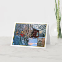 Christmas Eve Visitors (Cougar and Crow)