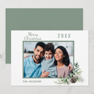 Christmas family photo white cone pine modern