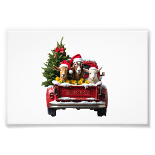 Christmas Farm Photo Print