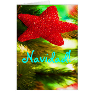 Christmas Feliz Navidad Red Star Holiday Card