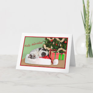 Christmas, Feliz Navidad, Spanish, Sleeping Cat Holiday Card