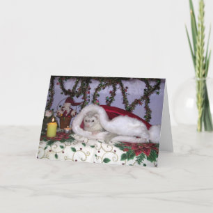 Christmas ferret holiday card
