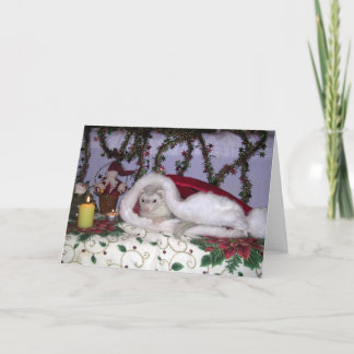 Christmas ferret holiday card