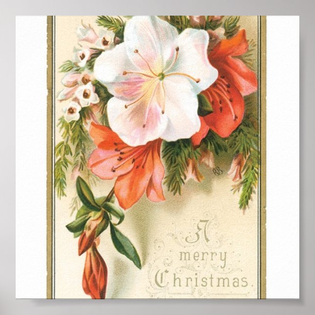 Christmas Flowers Poster (Front)