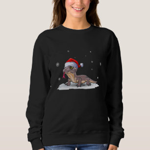 Christmas for men women kids Santa Iguanas Sweatshirt