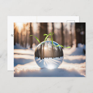Christmas Forest Ornament Holiday Postcard