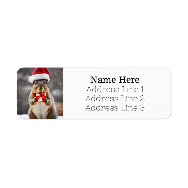 Christmas Fox Squirrel Santa Hat Return Address Label (Front)