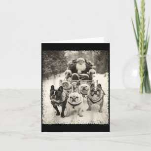 Christmas French Bulldog  Card