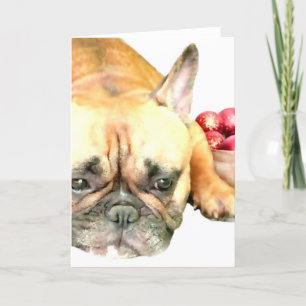 Christmas French Bulldog Holiday Card