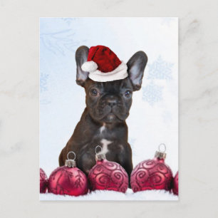 Christmas French Bulldog Holiday Postcard