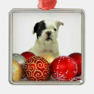 Christmas French Bulldog Metal Ornament