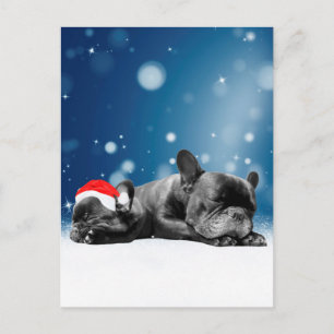 Christmas French Bulldog Puppies snow santa hat Holiday Postcard