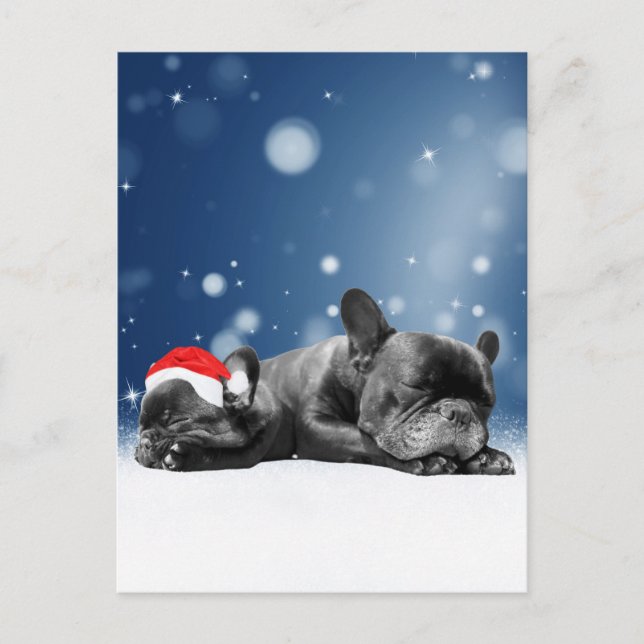 Christmas French Bulldog Puppies snow santa hat Holiday Postcard (Front)