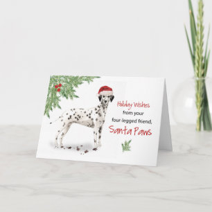 Christmas From Dog Dalmation in Funny Santa Hat Card