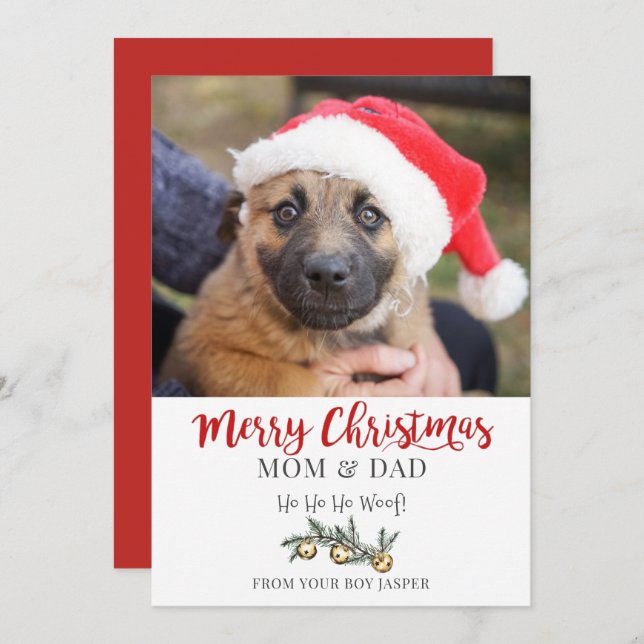 Christmas From Dog Holiday Card (Front/Back)