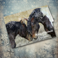 Christmas from Wyoming Wild Horses Christmas Card