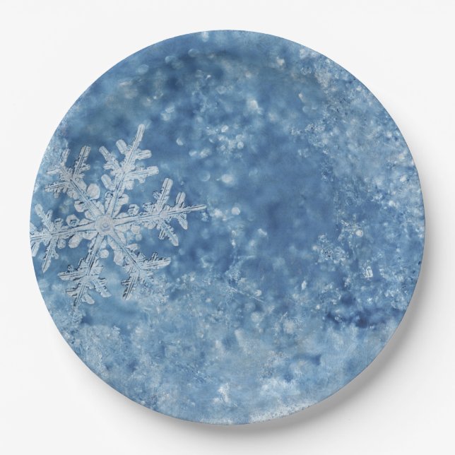Christmas frozen snowflakes paper plate (Front)