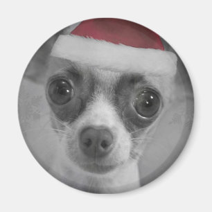 Christmas Funny Chihuahua Puppy with Santa Hat Magnet