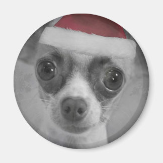 Christmas Funny Chihuahua Puppy with Santa Hat Magnet