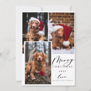 Christmas Funny Pet Merry Christmas 3 Photo Holiday Card