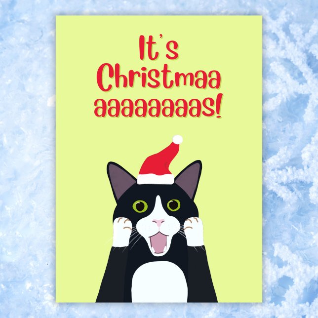 Christmas funny tuxedo cat cartoon holiday card (Creator Uploaded)