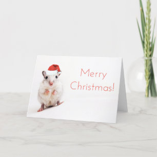 Christmas Gerbil Santa Hat Gerbils Santa Clause Holiday Card