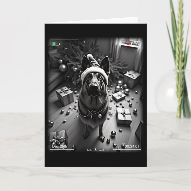Christmas German Shepherd Caught On Camera  Card (Front)